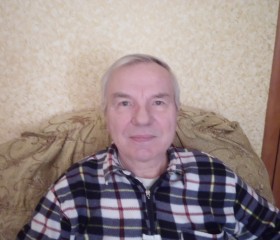 Толя, 77 лет, Старый Оскол