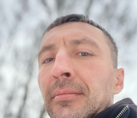 Artem, 35 лет, Ярославль