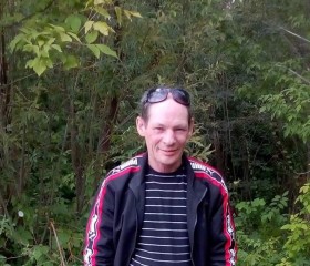 Сергей, 51 год, Вязьма