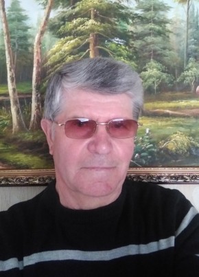 Виктор, 74, Россия, Касимов
