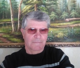 Виктор, 74 года, Касимов