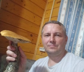 Дмитрий, 45 лет, Углич