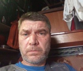Андрей, 47 лет, Сосновый Бор