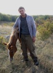 Александр, 43 года, Запоріжжя