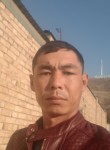 Алинур Амираев, 33 года, Бишкек
