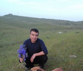 Ромаи, 47 лет, Toshkent