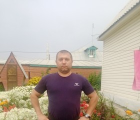 Николай митин, 42 года, Искитим