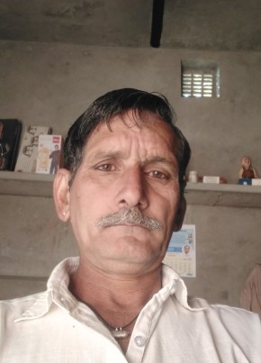 पाली, 46, India, Pilibangan