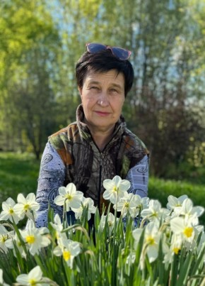 Елена, 60, Россия, Владимир