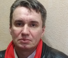 Станислав, 47 лет, Фрязино