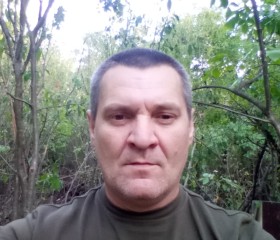 Alexey, 52 года, Stockholm