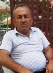 Մեխակ, 66  , Yerevan