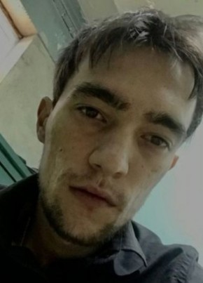 Anton, 29, Russia, Volzhsk