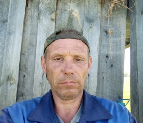 Владимир Анейчик, 49 лет, Любань