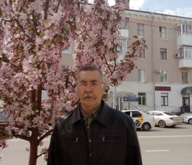 Рим Фархиев, 63 года, Новокуйбышевск
