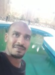 محمد عادل, 38  , Alexandria