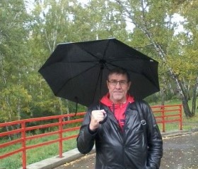 Николай, 70 лет, Новосибирск