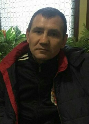 Стас Воронцов, 50, Россия, Лотошино