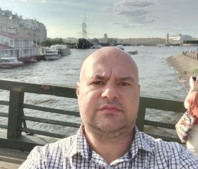 Дмитрий, 43 года, Воронеж