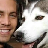 Cody, 27  , Harrison