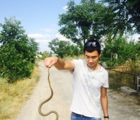 Рамиль, 31 год, Бишкек