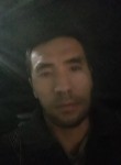 Амир, 36 лет, Toshkent