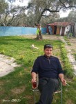 Mehmet, 45 лет, Yalova