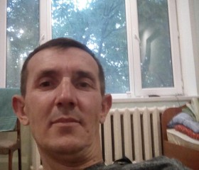 Николай, 42 года, Шымкент