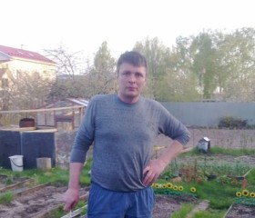 Дмитрий, 43 года, Выкса