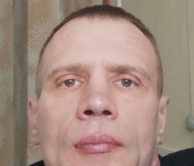 Denis, 49, Babruysk