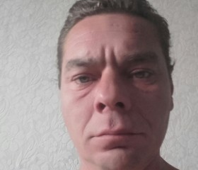 Василий, 45 лет, Лесной