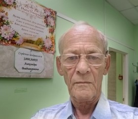 АЛЕКСАНДР, 72 года, Тула