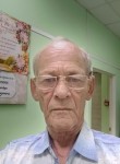 ALEKSANDR, 72, Tula