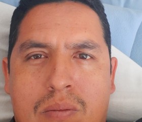 Alvaro venegas, 43 года, Morelia