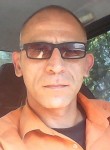 Vladimir, 42 года