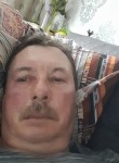 Николай, 52 года, Вологда