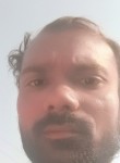 Shaggy, 31 год, Raipur (Chhattisgarh)