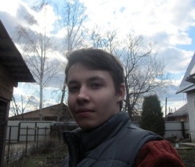 Андрей, 28 лет, Александров
