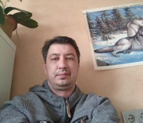 Михаил, 47 лет, Горад Мінск