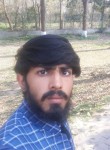 Usman ghani, 20 лет, لاہور