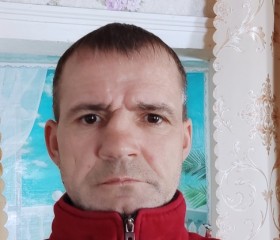 Евгений Волков, 47 лет, Барнаул