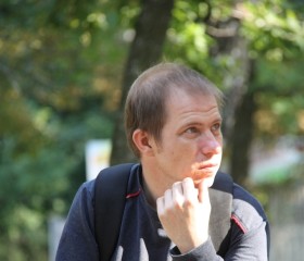 Александр Ивлиев, 39 лет, Железногорск (Курская обл.)
