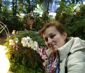 Елена, 52 года, Бугульма