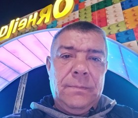 Victor Gradinari, 47 лет, Sîngera