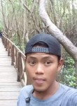 Fikar, 27 лет, Kabupaten Malang