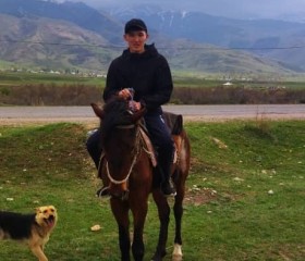 Макс, 26 лет, Бишкек