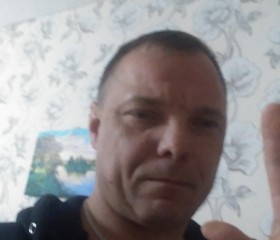 Николай, 47 лет, Урюпинск
