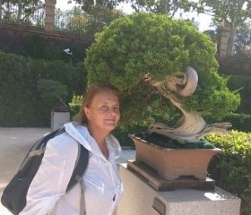 Лариса, 65 лет, Санкт-Петербург