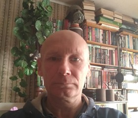 Анатолий Леднев, 56 лет, Хойнікі