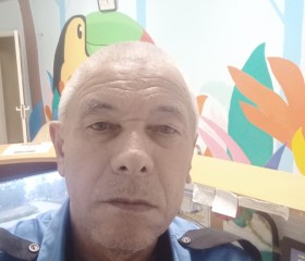Ядъкар Насибулин, 66 лет, Набережные Челны